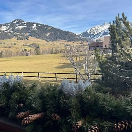 Warm And Spacious Surrounded By Greenery Holiday home Gstaad